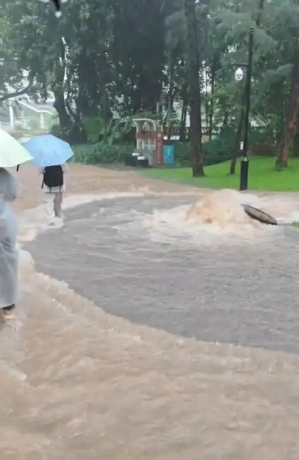 暴雨突袭致深圳1300+公园关闭，王者峡谷“灾后重建”攻略上线